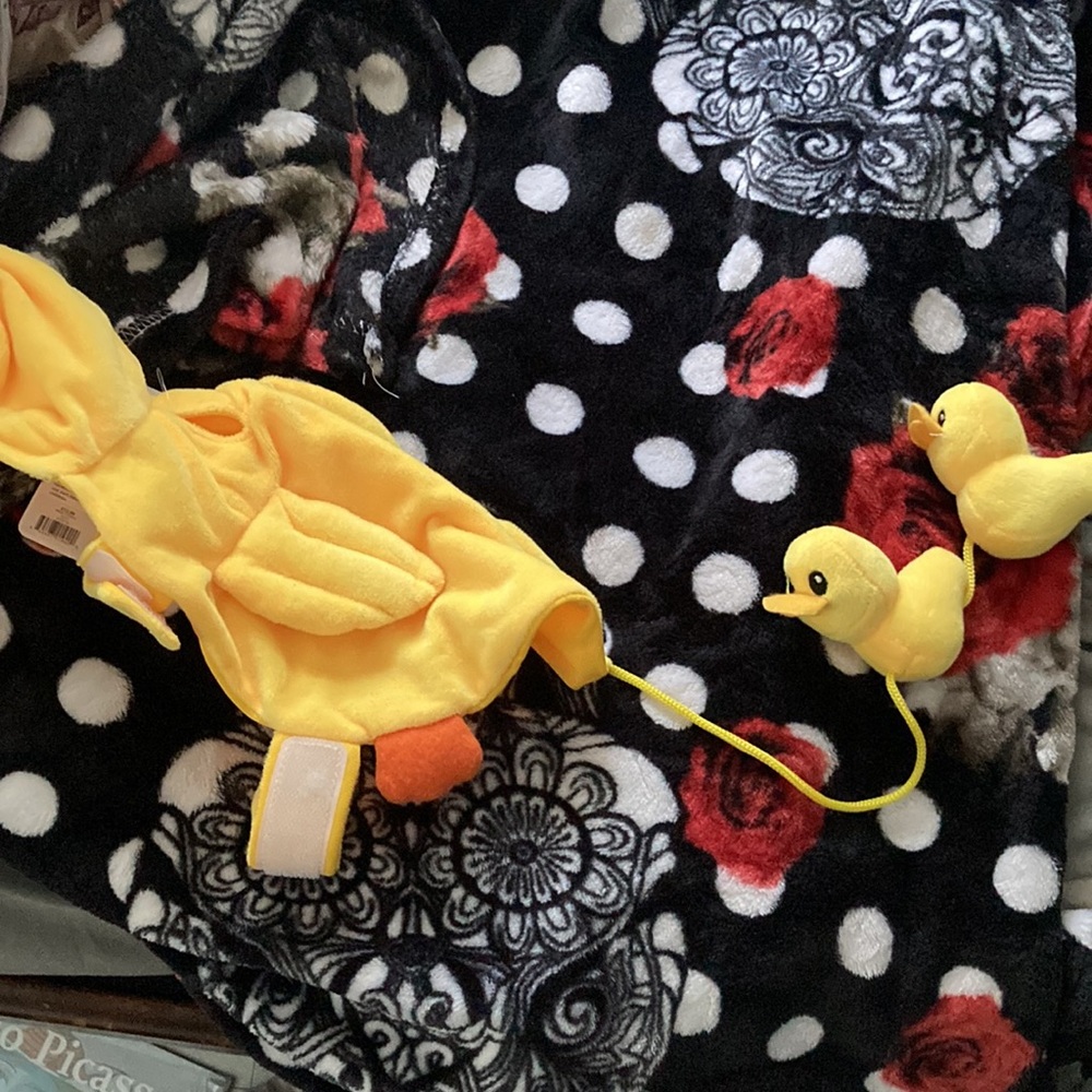 Dog Rubber Duckies Costume